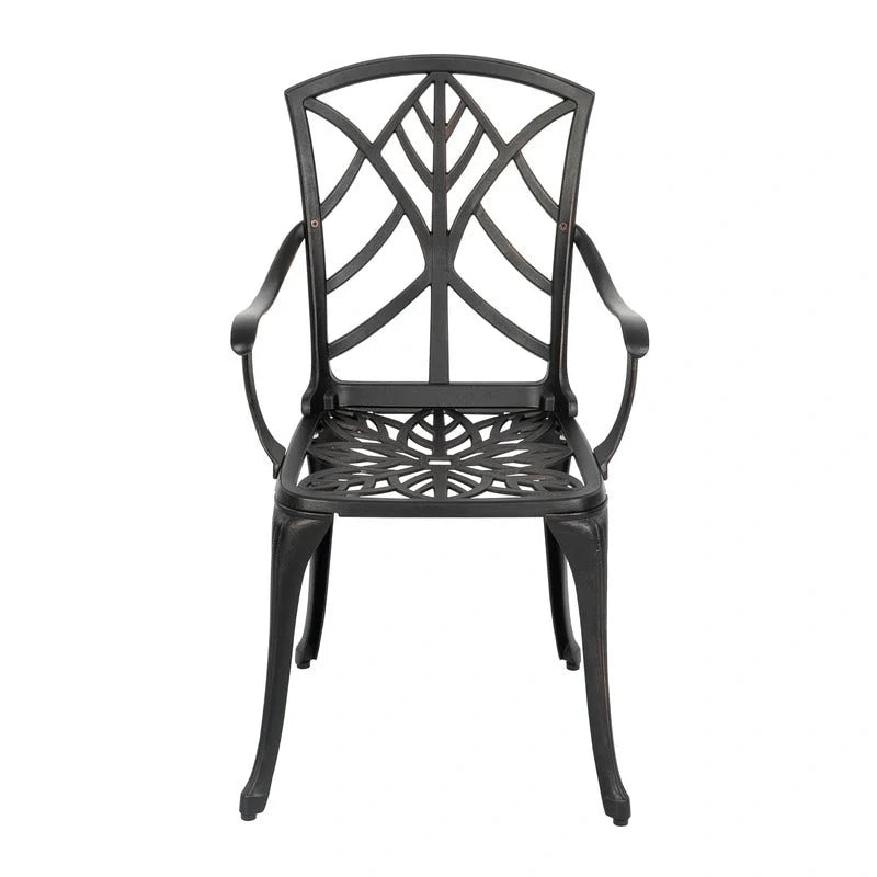Ensemble de 2 chaises de patio extérieures, en aluminium coulé, noir avec bordure dorée