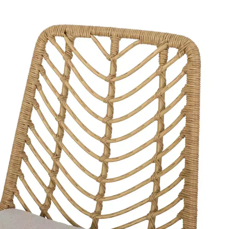 Berrien Lot de 2 Chaises d'extérieur en Osier avec Coussin - Marron Clair/Beige/Noir - Christopher Knight Home