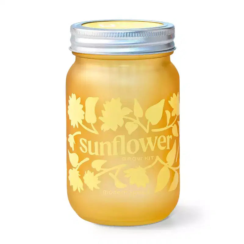 Kit de plantation en pot Modern Sprout jaune tournesol