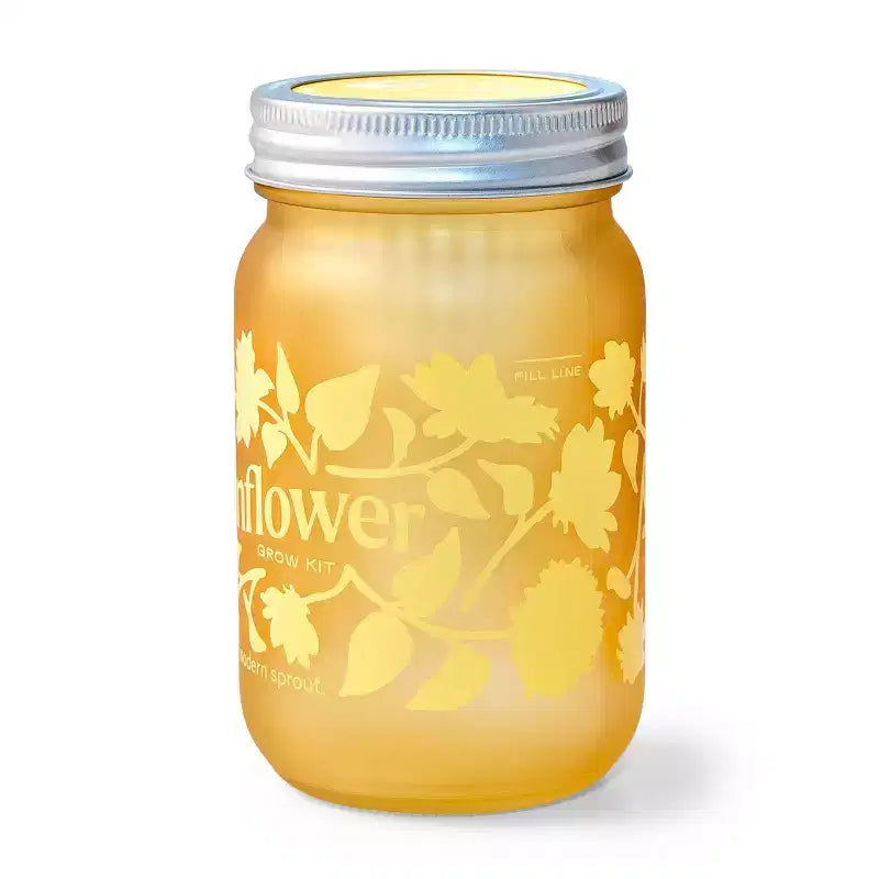 Kit de plantation en pot Modern Sprout jaune tournesol