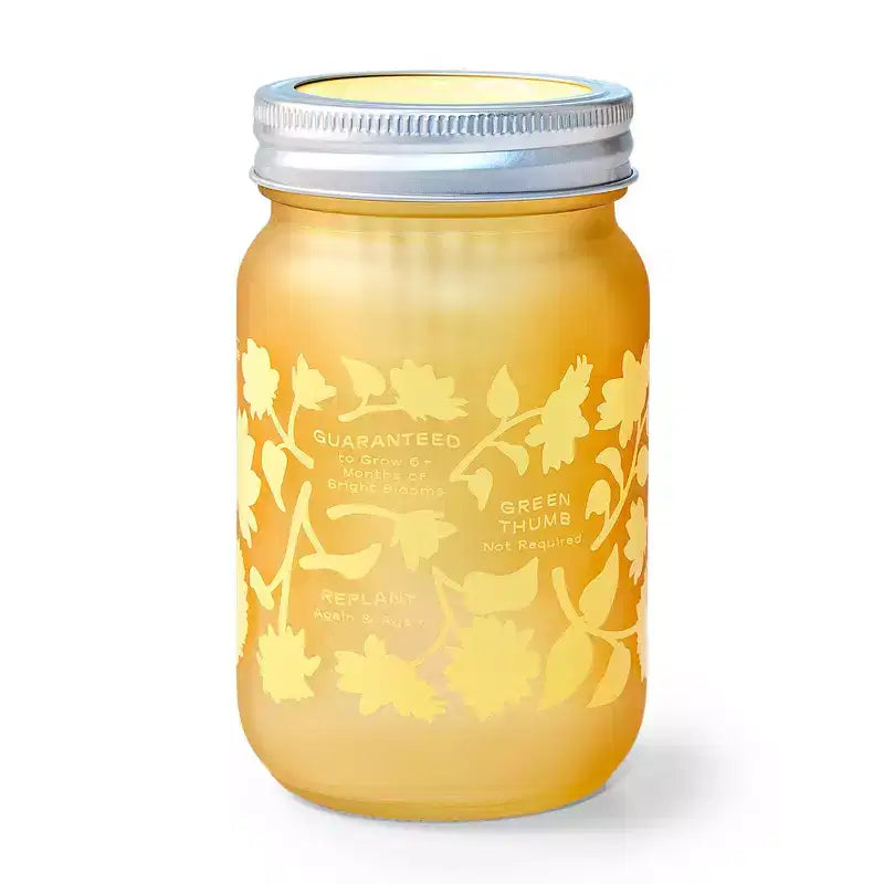 Kit de plantation en pot Modern Sprout jaune tournesol