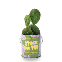 Modern Sprout Cactus Kit de demarrage de semences Stuck on You couleurs complementaires