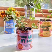 Modern Sprout Cactus Kit de demarrage de semences Stuck on You couleurs complementaires