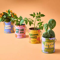 Modern Sprout Cactus Kit de demarrage de semences Stuck on You couleurs complementaires