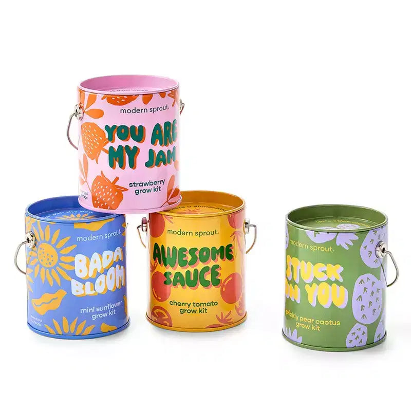 Modern Sprout Cactus Kit de demarrage de semences Stuck on You couleurs complementaires