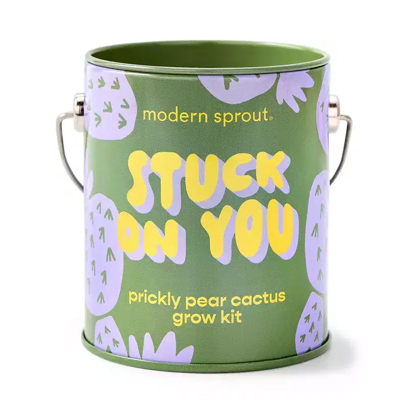 Modern Sprout Cactus Kit de demarrage de semences Stuck on You couleurs complementaires