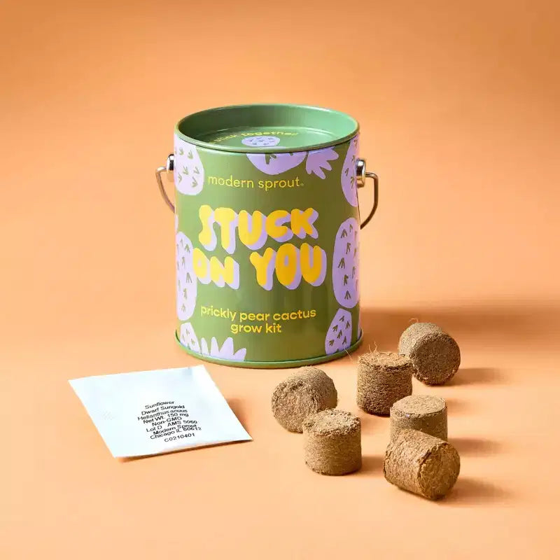 Modern Sprout Cactus Kit de demarrage de semences Stuck on You couleurs complementaires