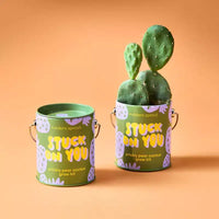 Modern Sprout Cactus Kit de demarrage de semences Stuck on You couleurs complementaires