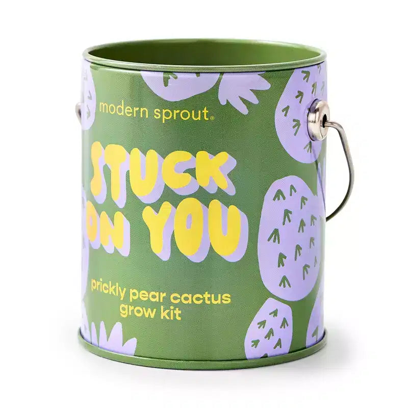 Modern Sprout Cactus Kit de demarrage de semences Stuck on You couleurs complementaires