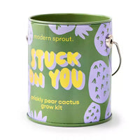 Modern Sprout Cactus Kit de demarrage de semences Stuck on You couleurs complementaires