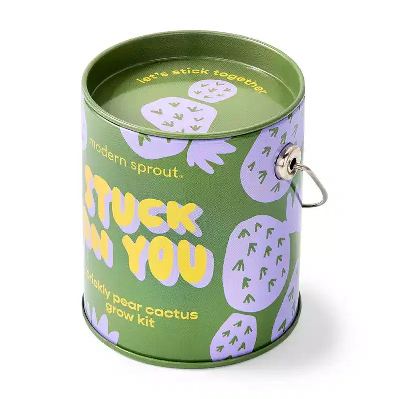 Modern Sprout Cactus Kit de demarrage de semences Stuck on You couleurs complementaires