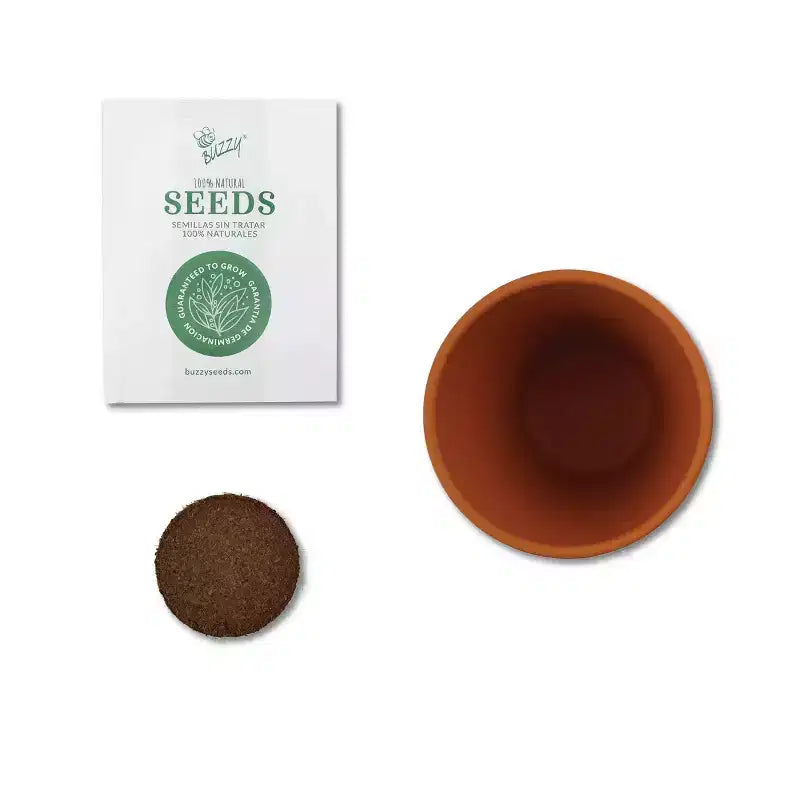 Buzzy Seeds Pack de 12 kits de culture en mini pots pour coquelicots, tournesols, marguerites, myosotis et cactus Daydream