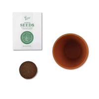 Buzzy Seeds Pack de 12 kits de culture en mini pots pour coquelicots, tournesols, marguerites, myosotis et cactus Daydream