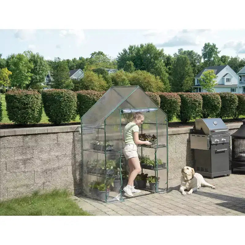 Miracle-Gro Mini-serre 24"x56" transparente