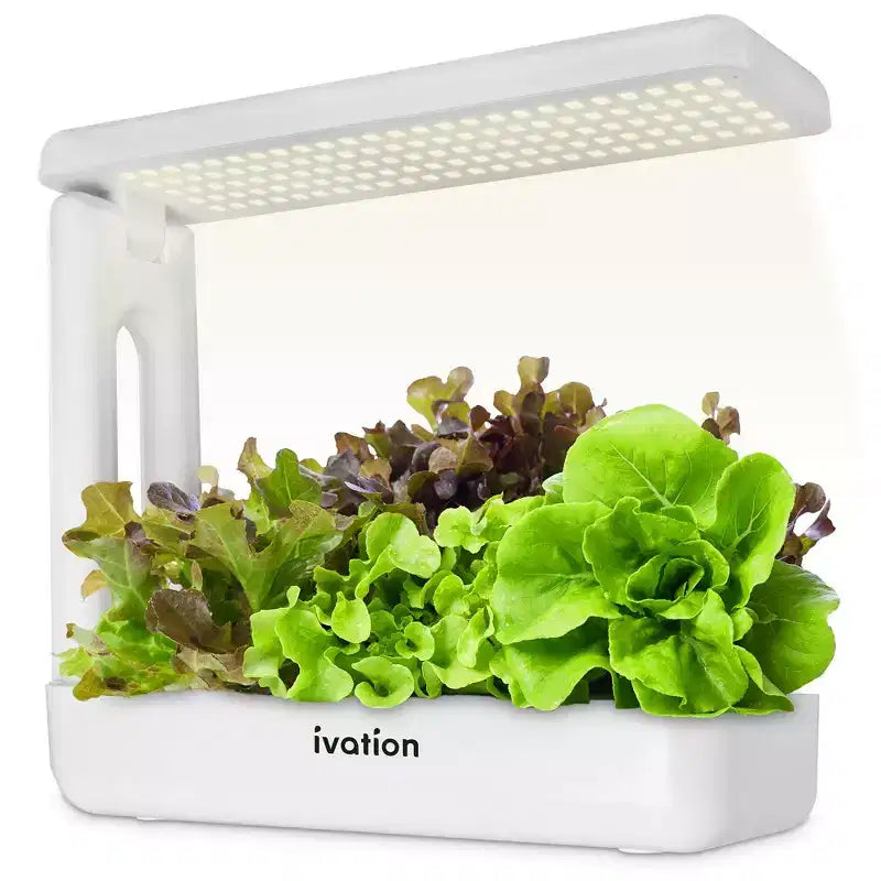 Ivation 20 éponges de croissance – Capsules de germination de rechange pour système de culture d'herbes aromatiques d'intérieur IVAHG20