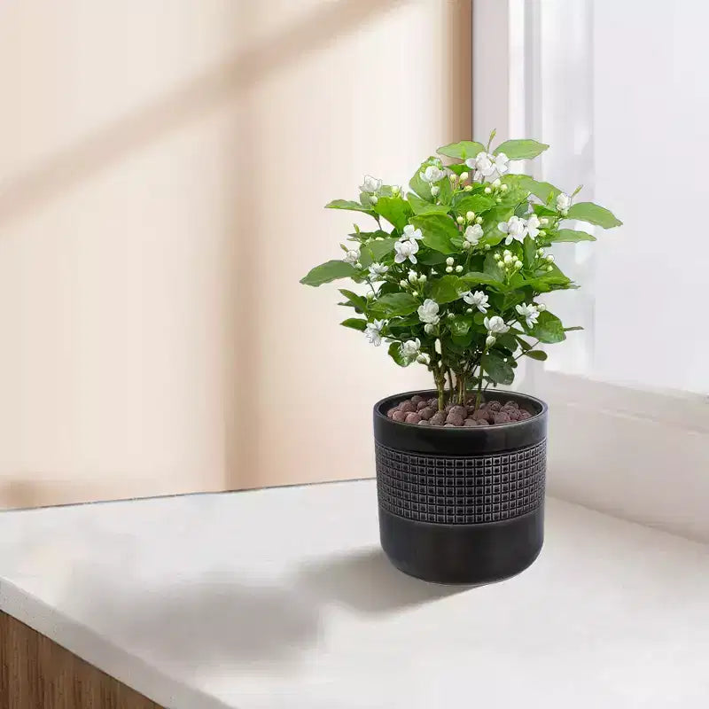 MAYEERTY Pot de fleurs en ceramique 3 pièces, jardinière moderne noire pour patio, jardin et rebords de fenêtre