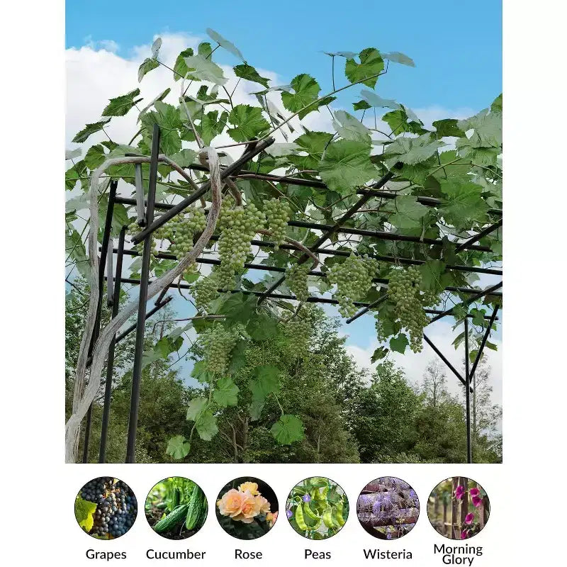 Arche de jardin pour plantes grimpantes, treillis métallique arqué durable avec finition thermolaquée, pour mariages, tonnelles et décoration extérieure, pour pelouse, fête