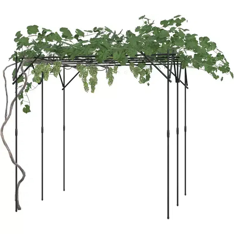 Arche de jardin pour plantes grimpantes, treillis métallique arqué durable avec finition thermolaquée, pour mariages, tonnelles et décoration extérieure, pour pelouse, fête