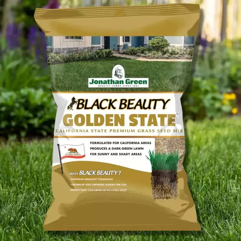 Jonathan Green Black Beauty Golden State Semences de gazon de saison fraîche de Californie, 1 lb