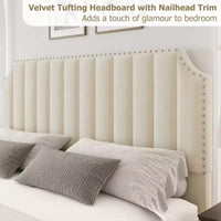 Cadre de lit WhizMax Grand lit/Très grand lit avec tête de lit de 127,5 cm de hauteur, cadre de lit Queen en velours avec tête et pied de lit touffetés à canaux verticaux
