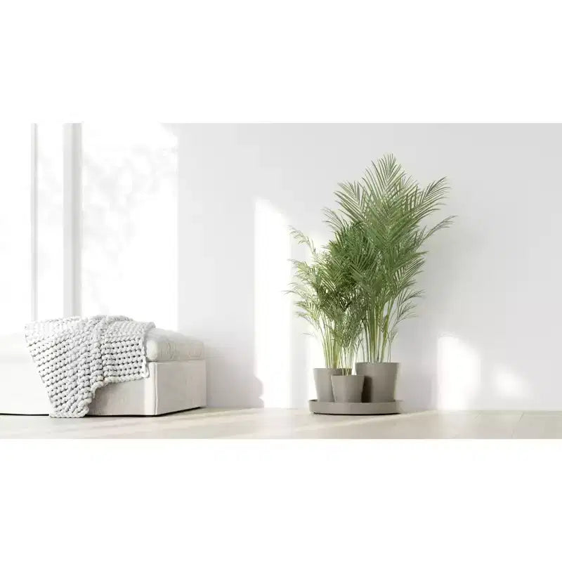 Ecopots Dubai Jardinière ronde moderne durable à arrosage automatique pour interieur/extérieur, à base de matière recyclee composite, avec roues et soucoupe, taupe, 22
