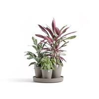 Ecopots Dubai Jardinière ronde moderne durable à arrosage automatique pour interieur/extérieur, à base de matière recyclee composite, avec roues et soucoupe, taupe, 22