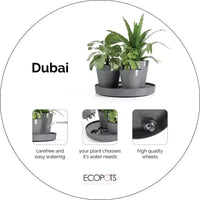 Ecopots Dubai Jardinière ronde moderne durable à arrosage automatique pour interieur/extérieur, à base de matière recyclee composite, avec roues et soucoupe, taupe, 22