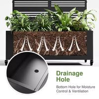 Jardinière murale arquée PexFix en métal noir de 183 cm (H) x 119 cm (l) avec treillis pour plantes grimpantes