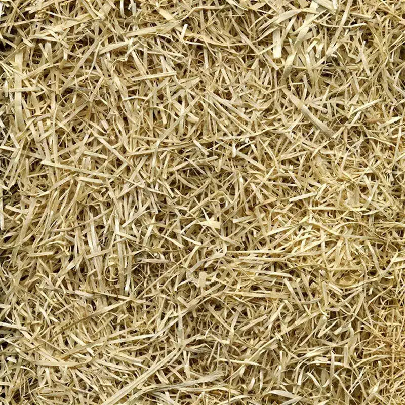 EZ Straw Couverture de germination de semences de gazon et de contrôle de l'erosion, 4 pi x 50 pi, couvre 200 pi²