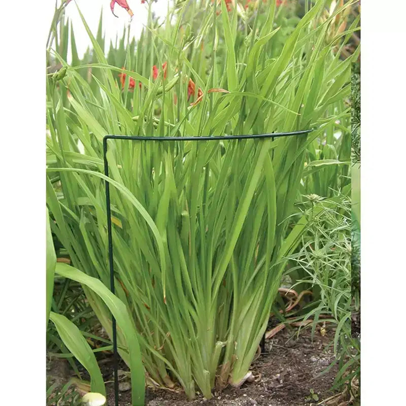 Tuteur pour plantes en U Luster Leaf Link-Ups, 10,16 cm (4 po) L x 38,1 cm (15 po) H