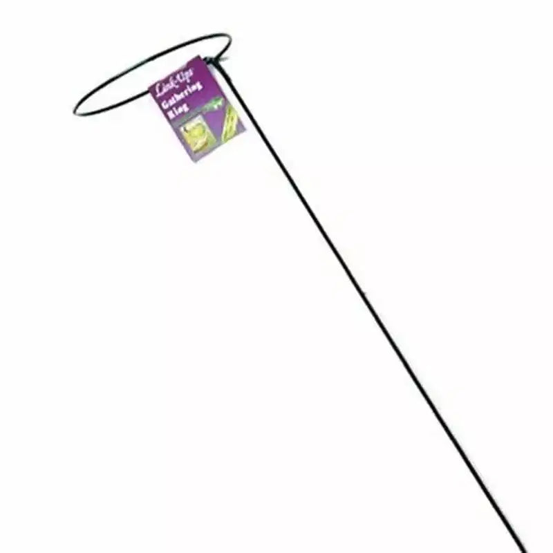 Support pour plantes Luster Leaf Link-Ups Gathering Ring, 6 anneaux x 36 pattes