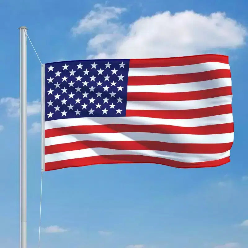 vidaXL Drapeau des États-Unis Multicolore 68D 100 % polyester Grand Drapeau Américain Durable