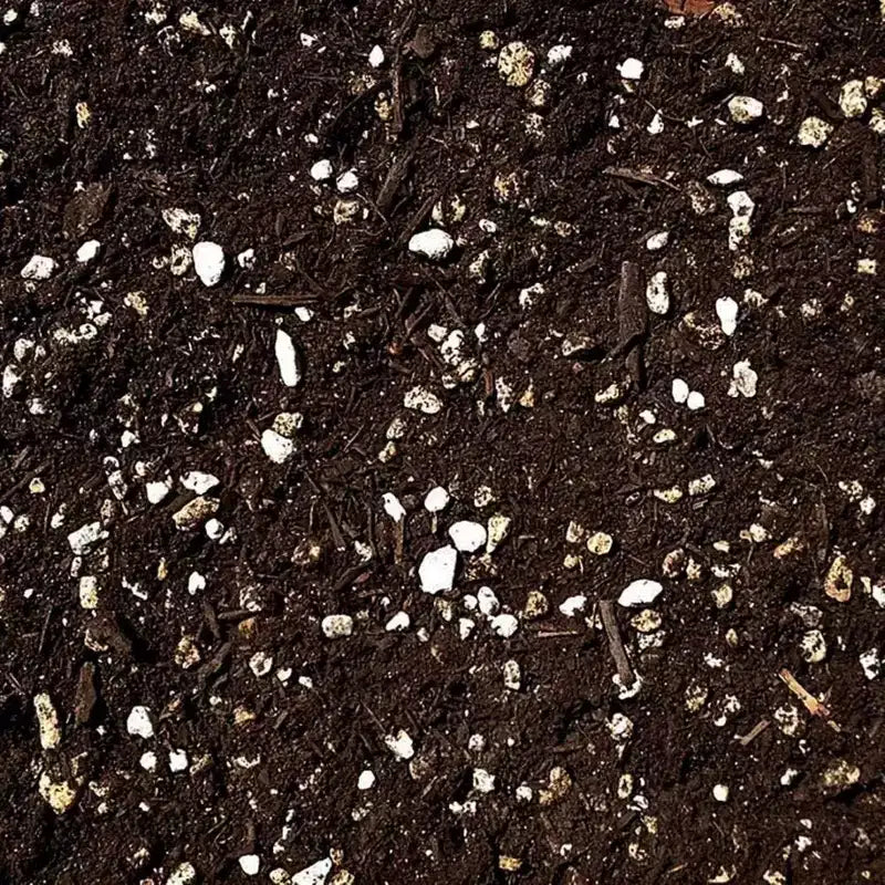 Roots Organics Formula Terreau prêt à l'emploi, 1,5 pi³