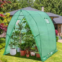 Serre tunnel EAGLE PEAK 70,9x70,9x78,7 avec porte zippée et 2 fenêtres latérales enroulables, Transparent/Vert