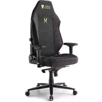 AMERLIFE Gaming Chair Ergonomic PC Game Chair- Lumbar Support Headrest 4D Armrests Computer Chair