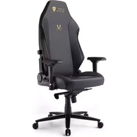 Chaise de jeu AMERLIFE, ergonomique, avec support lombaire, appui-tête et accoudoirs 4D pour ordinateur