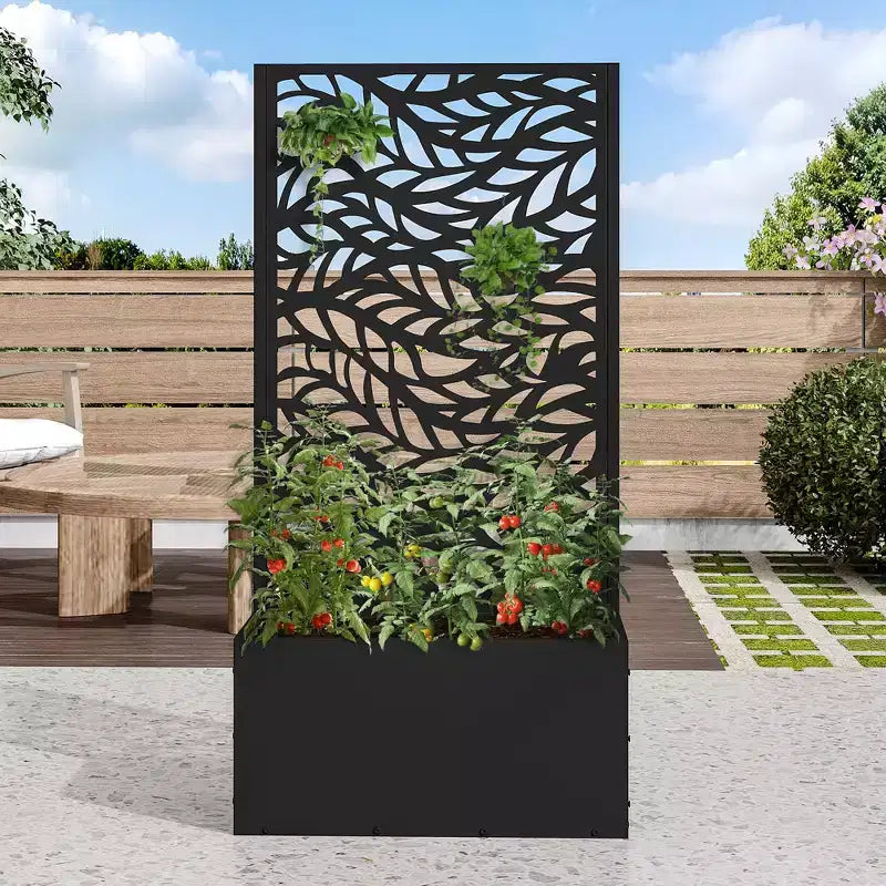 PexFix Jardinière murale en métal avec treillis pour plantes grimpantes