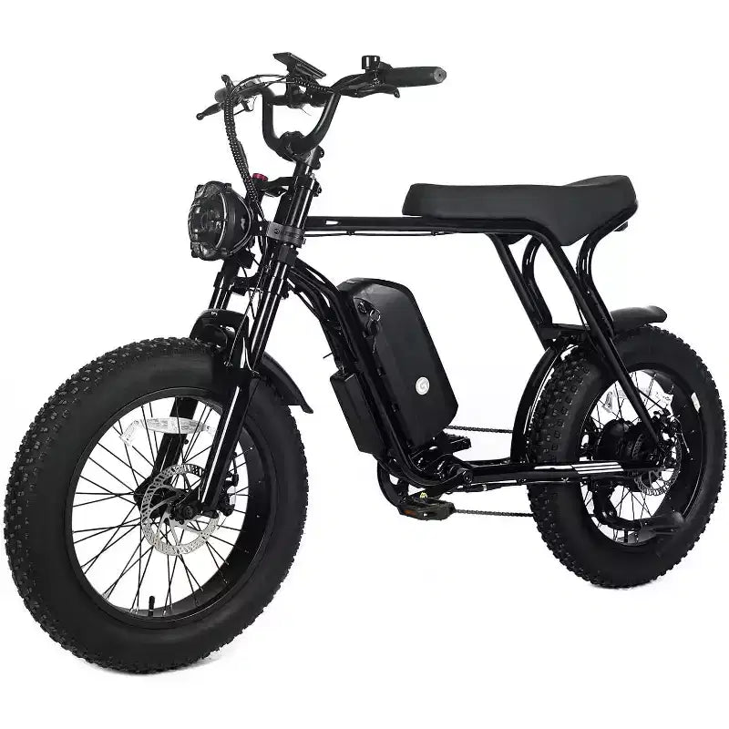Vélo électrique tout-terrain pour adultes, pneus larges 20 x 4,0, moteur 750W avec batterie amovible 48V 15,6Ah