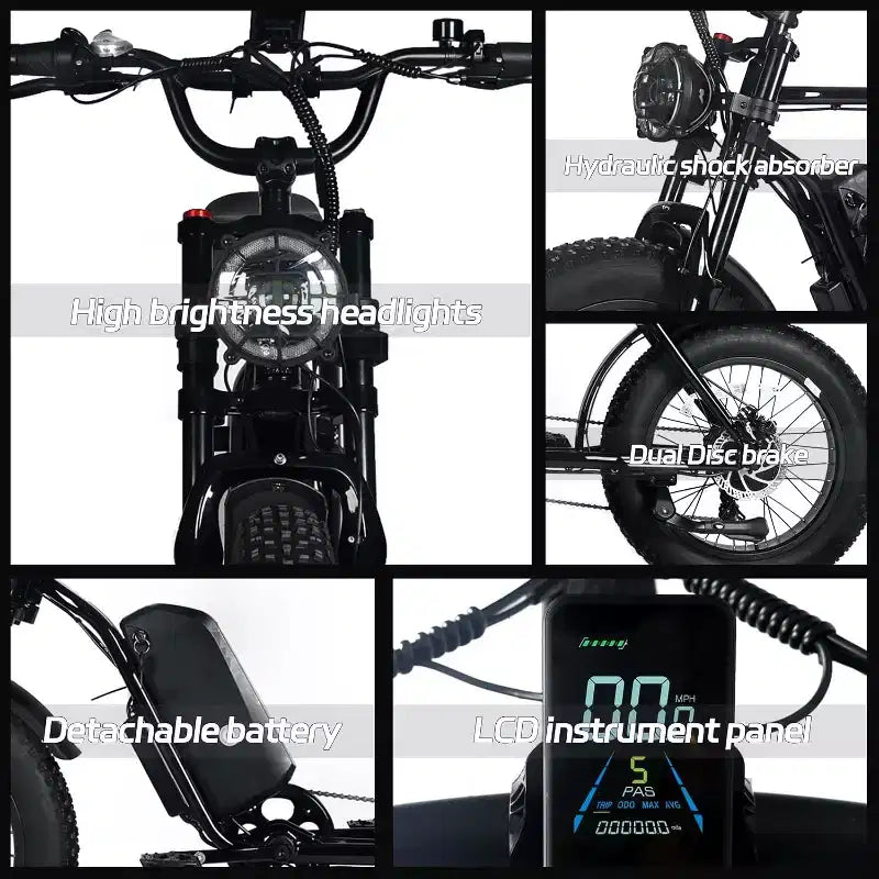 Vélo électrique tout-terrain pour adultes, pneus larges 20 x 4,0, moteur 750W avec batterie amovible 48V 15,6Ah