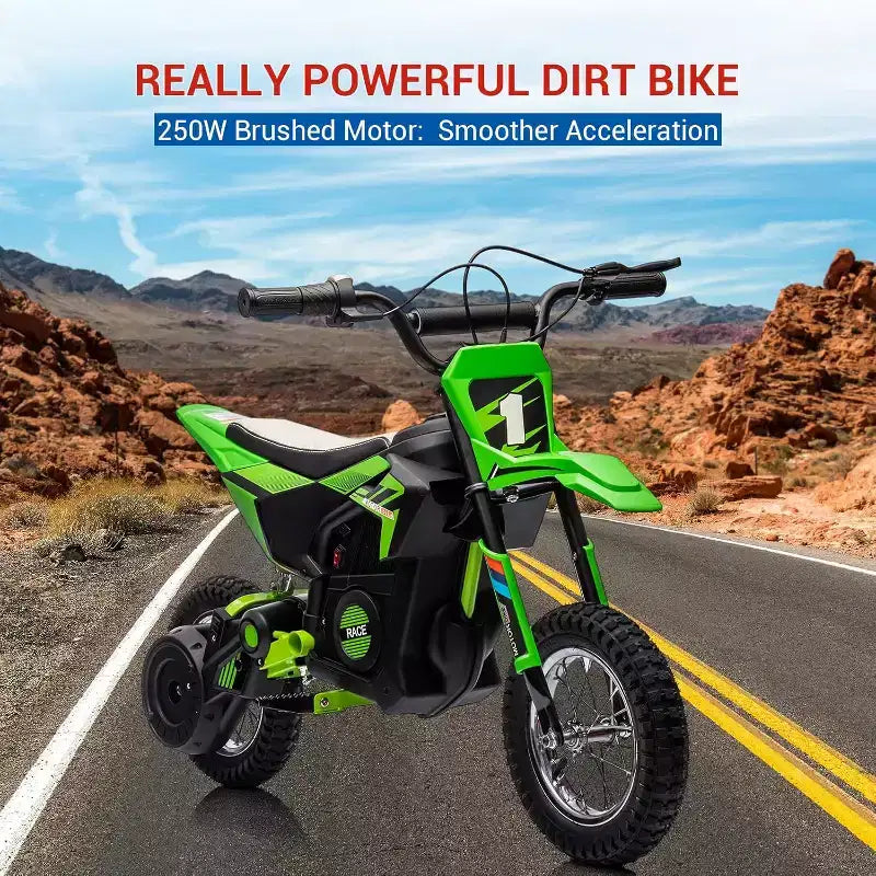 Moto électrique tout-terrain 24 V pour enfants Moteur 250 W Pneus gonflables Suspension métallique Vitesse max. 22 km/h Charge 63 kg pour les 6 ans et plus Jouet à piloter