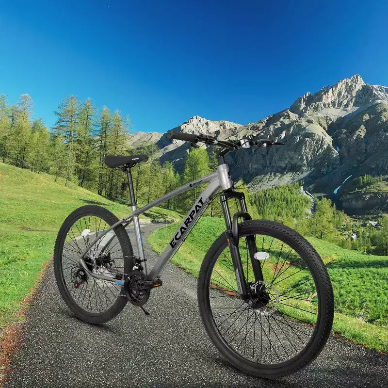 Whisen VTT 27 pouces 21 vitesses, fourche à suspension, cadre en aluminium, frein à disque - Gris