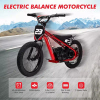 Moto Cross Électrique pour Enfants de 6 à 12 Ans, Vélo d'Équilibre Électrique 250W, Vitesse Max 25 km/h & 3 Réglages de Vitesse, Batterie 24V/5.2AH