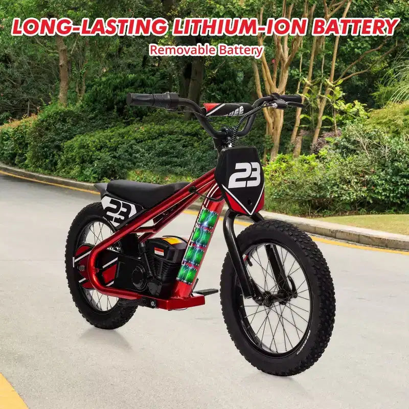 Moto Cross Électrique pour Enfants de 6 à 12 Ans, Vélo d'Équilibre Électrique 250W, Vitesse Max 25 km/h & 3 Réglages de Vitesse, Batterie 24V/5.2AH