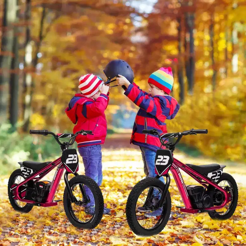 Moto Cross Électrique pour Enfants de 6 à 12 Ans, Vélo d'Équilibre Électrique 250W, Vitesse Max 25 km/h & 3 Réglages de Vitesse, Batterie 24V/5.2AH