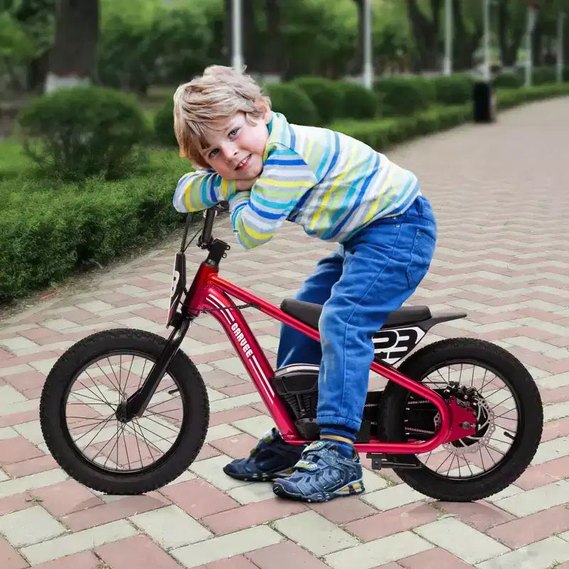 Moto Cross Électrique pour Enfants de 6 à 12 Ans, Vélo d'Équilibre Électrique 250W, Vitesse Max 25 km/h & 3 Réglages de Vitesse, Batterie 24V/5.2AH