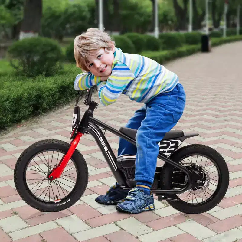 Moto Cross Électrique pour Enfants de 6 à 12 Ans, Vélo d'Équilibre Électrique 250W, Vitesse Max 25 km/h & 3 Réglages de Vitesse, Batterie 24V/5.2AH