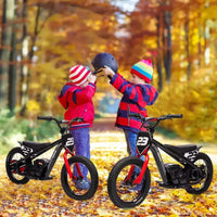 Moto Cross Électrique pour Enfants de 6 à 12 Ans, Vélo d'Équilibre Électrique 250W, Vitesse Max 25 km/h & 3 Réglages de Vitesse, Batterie 24V/5.2AH