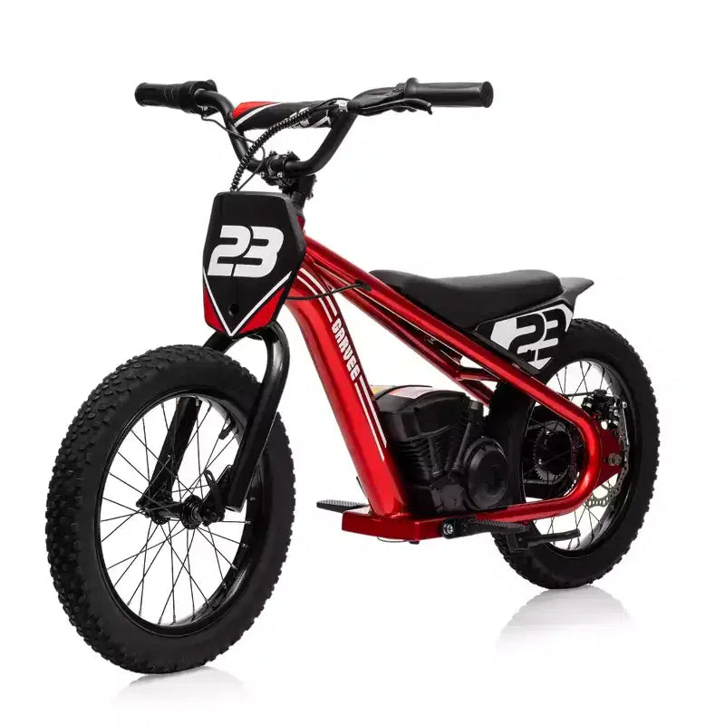 Electric Dirt Bike for Kids Ages 6-12, 250W Electric Balance Bike, 15.5MPH Max Speed & 3 Speed Settings, 24V/5.2AH Battery