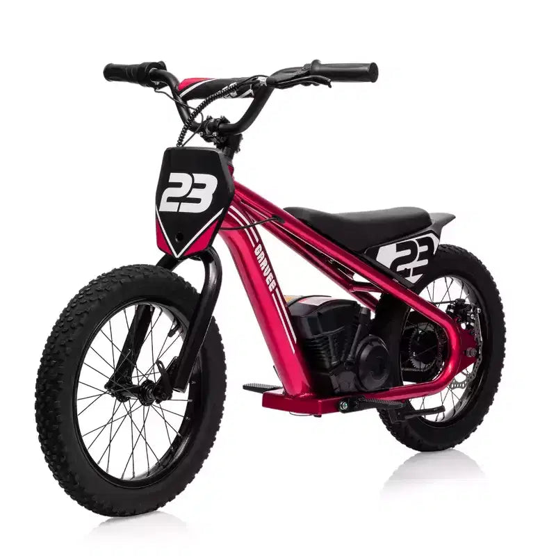 Moto Cross Électrique pour Enfants de 6 à 12 Ans, Vélo d'Équilibre Électrique 250W, Vitesse Max 25 km/h & 3 Réglages de Vitesse, Batterie 24V/5.2AH