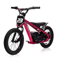 Moto Cross Électrique pour Enfants de 6 à 12 Ans, Vélo d'Équilibre Électrique 250W, Vitesse Max 25 km/h & 3 Réglages de Vitesse, Batterie 24V/5.2AH